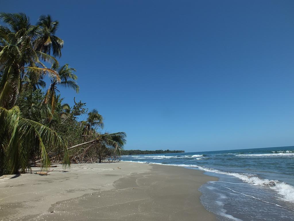 Cabinas Caribe Luna Cahuita Buitenkant foto