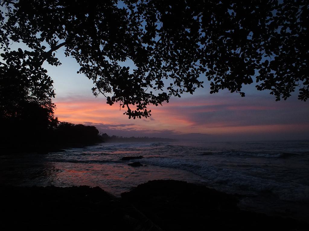 Cabinas Caribe Luna Cahuita Buitenkant foto
