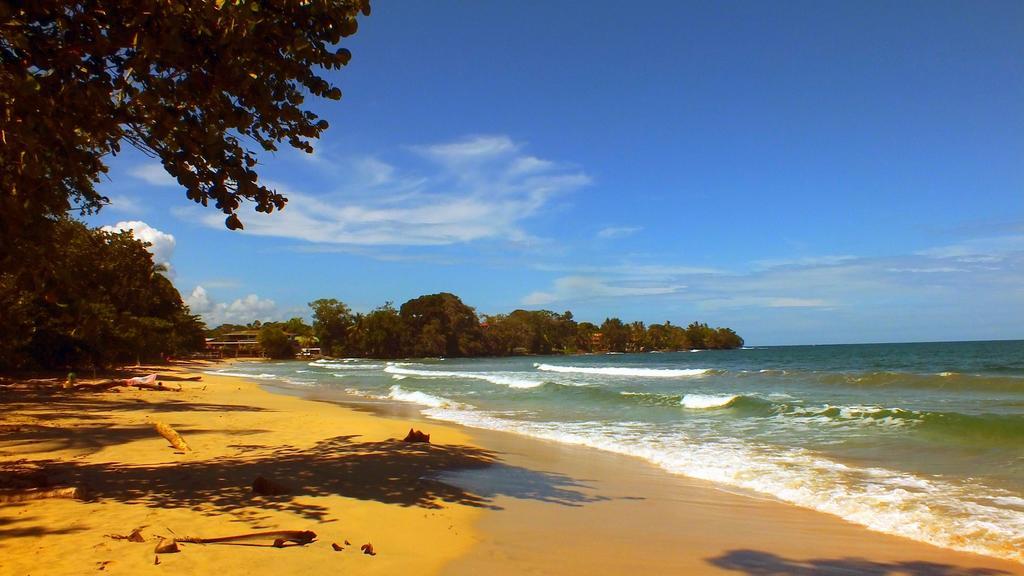 Cabinas Caribe Luna Cahuita Buitenkant foto