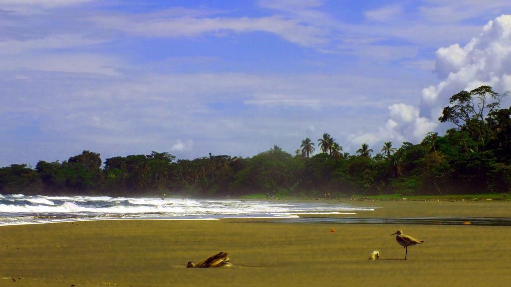 Cabinas Caribe Luna Cahuita Buitenkant foto