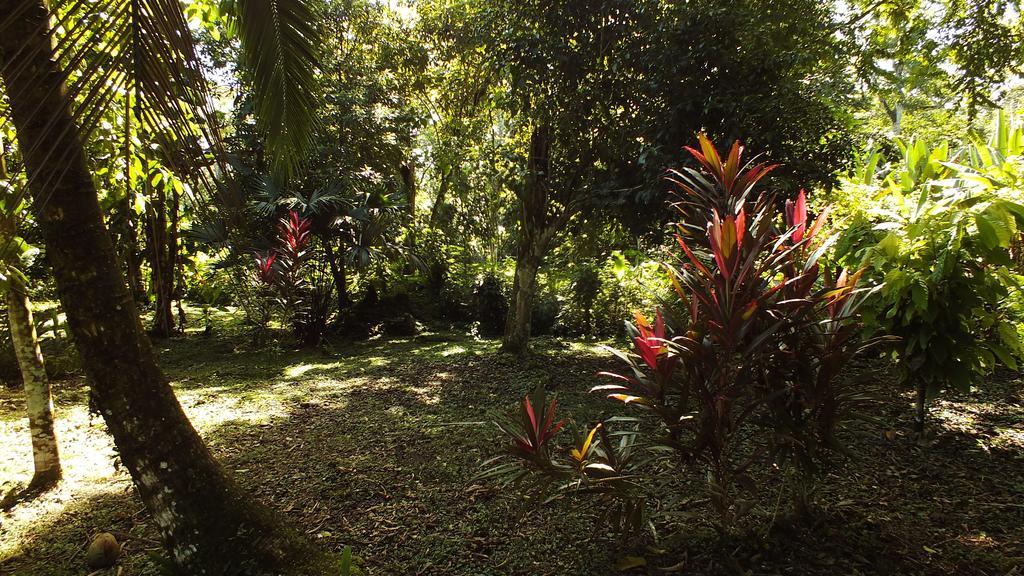 Cabinas Caribe Luna Cahuita Buitenkant foto