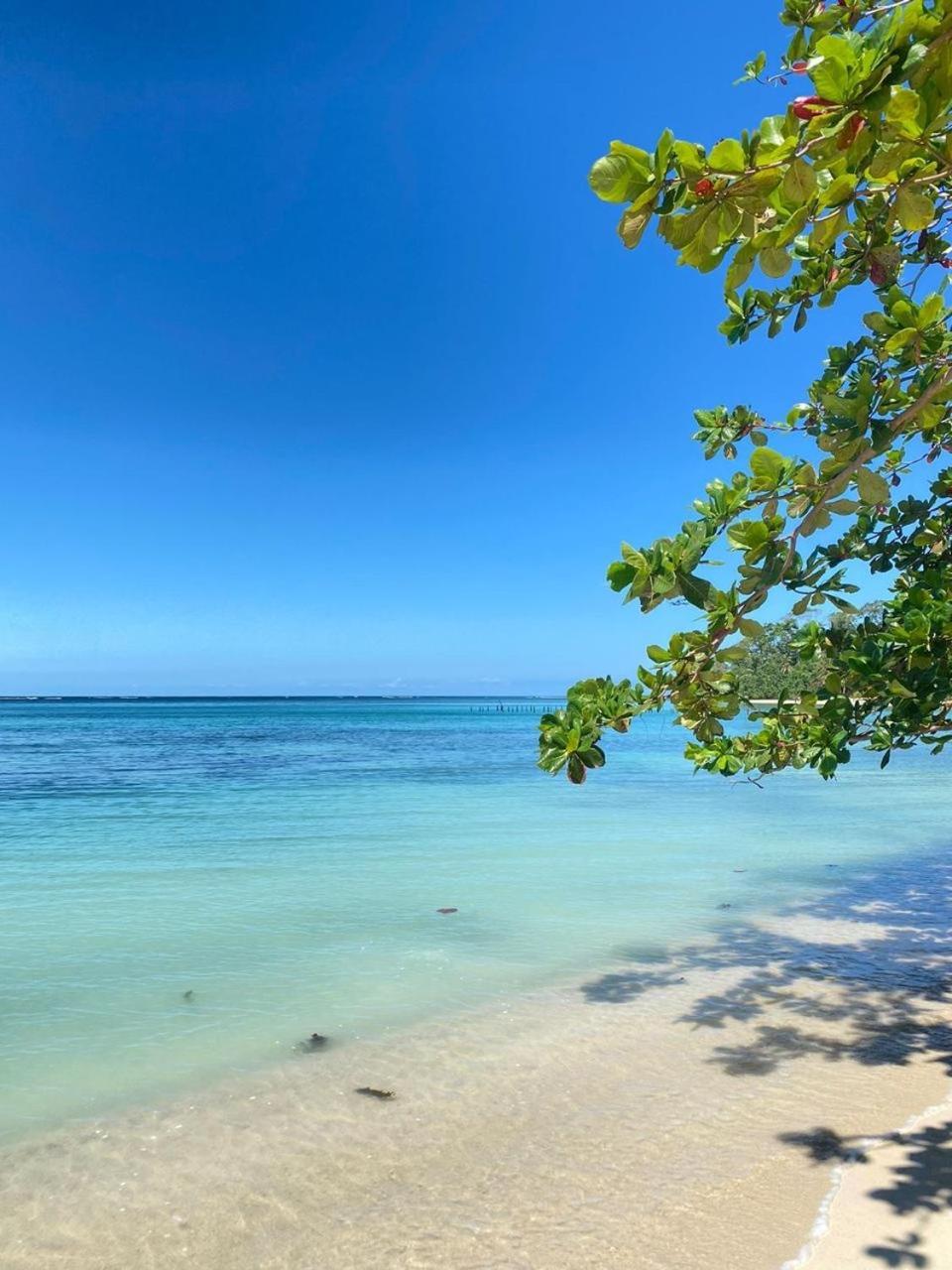 Cabinas Caribe Luna Cahuita Buitenkant foto