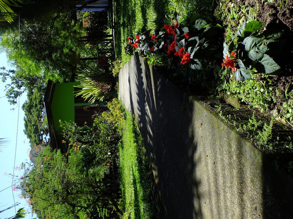 Cabinas Caribe Luna Cahuita Buitenkant foto