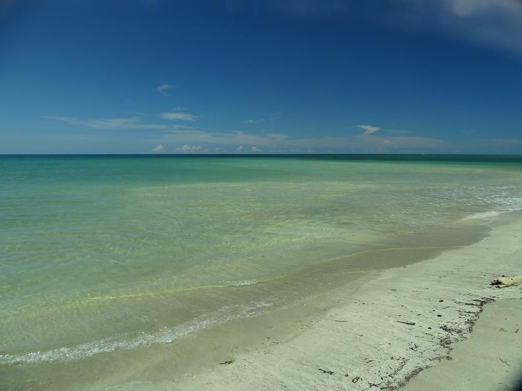 Cabinas Caribe Luna Cahuita Buitenkant foto