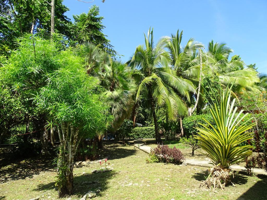 Cabinas Caribe Luna Cahuita Buitenkant foto