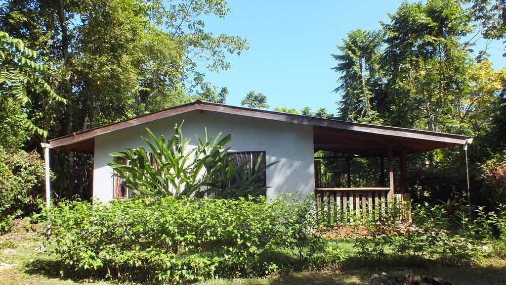 Cabinas Caribe Luna Cahuita Buitenkant foto